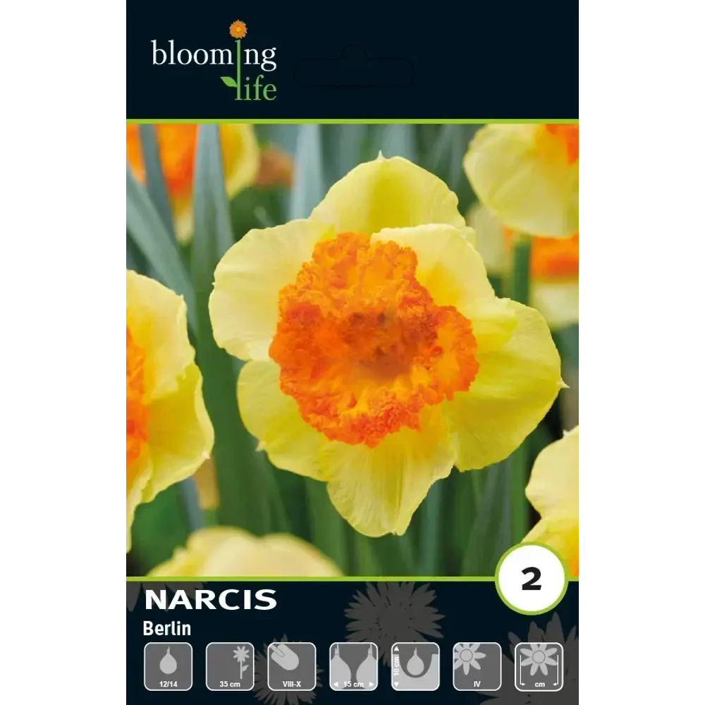 Луковицы нарцисса Берлин 12/14 - многолетние цветущие растения 89433003 Santreyd STLM-1583787