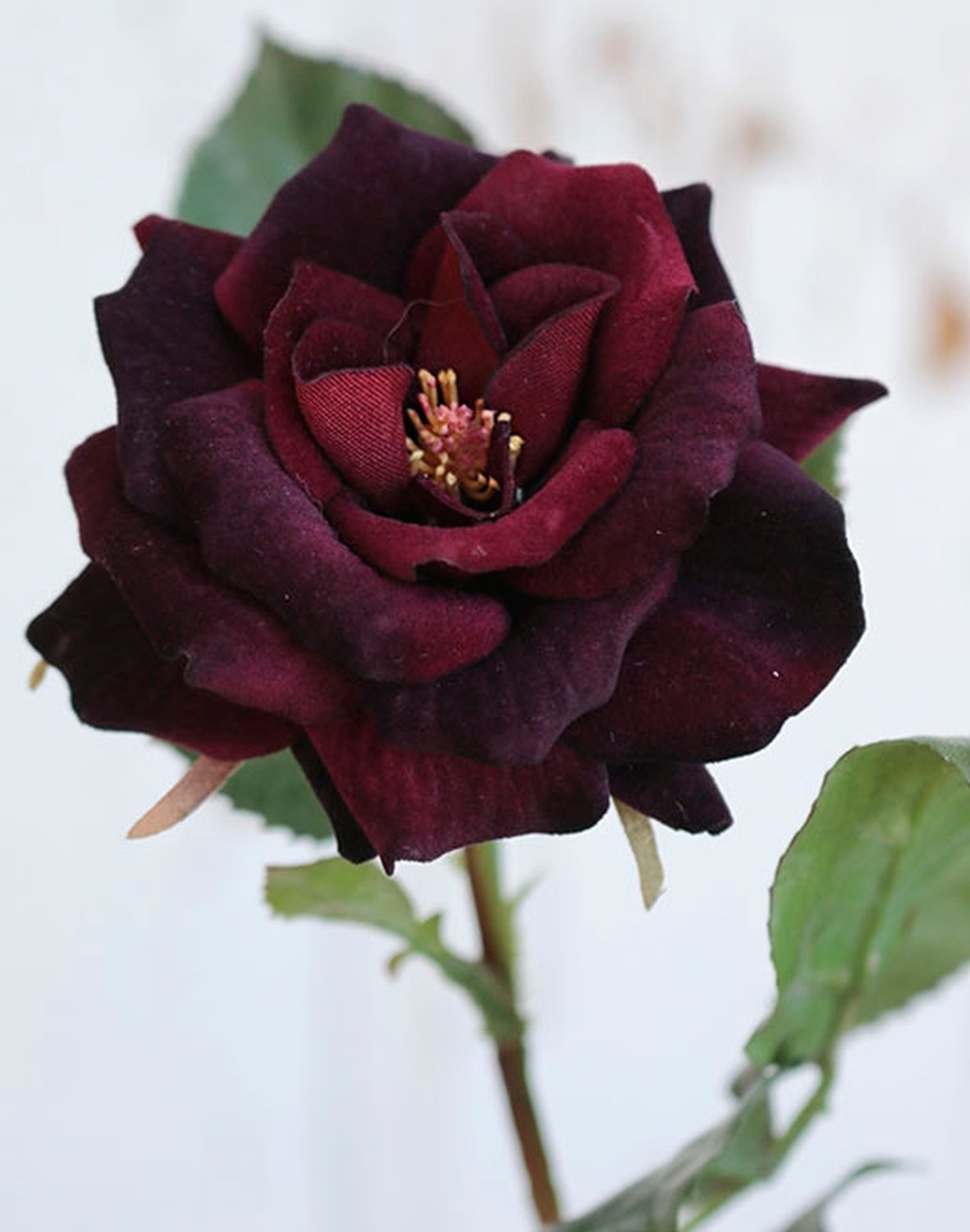 4528 449 a3 Искусственная роза, бархат, 2 цветка, 1 бутон, 70 см, бордовый H-andreas 