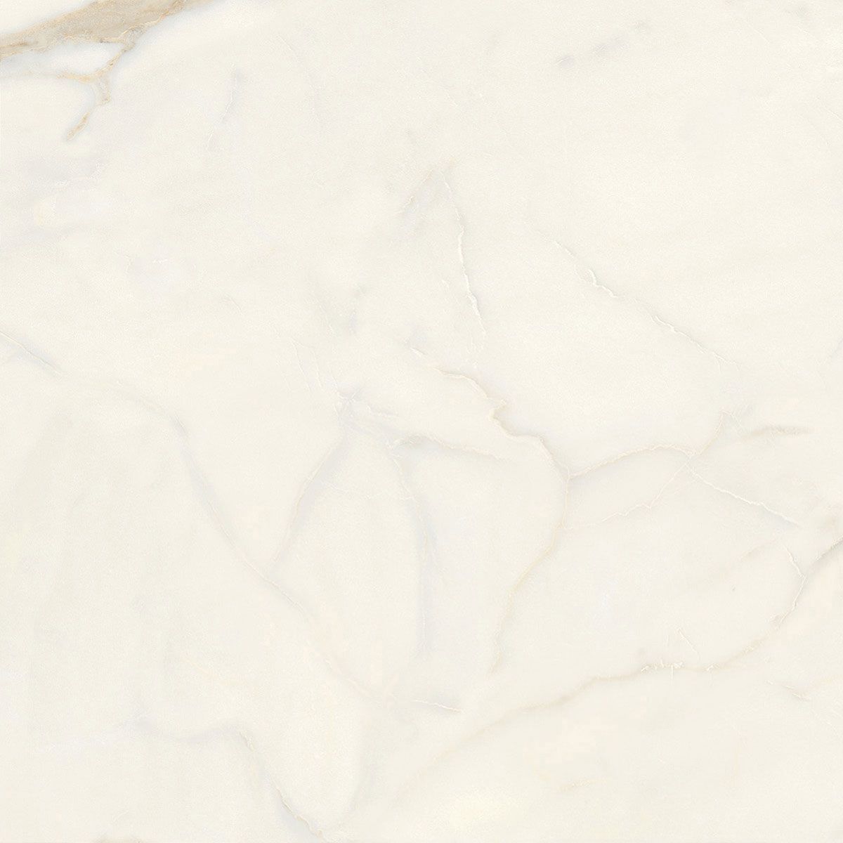 Пол / керамогранит с мраморным эффектом Italgraniti Marble Touch ARCH-00152884 - Вид №58