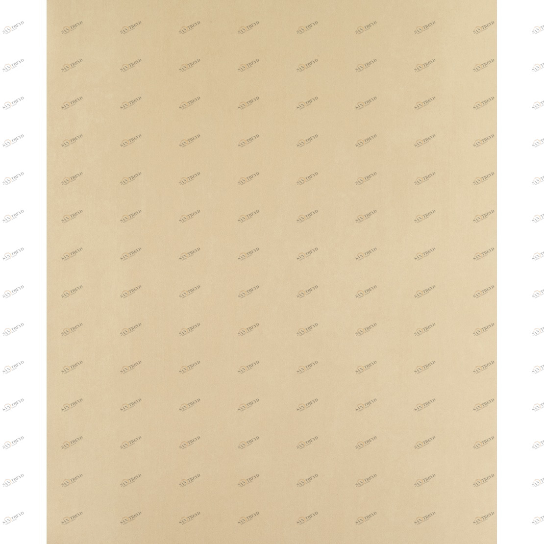 Рулон обоев ALICE & PAUL AEP12991223. Основа Casadeco