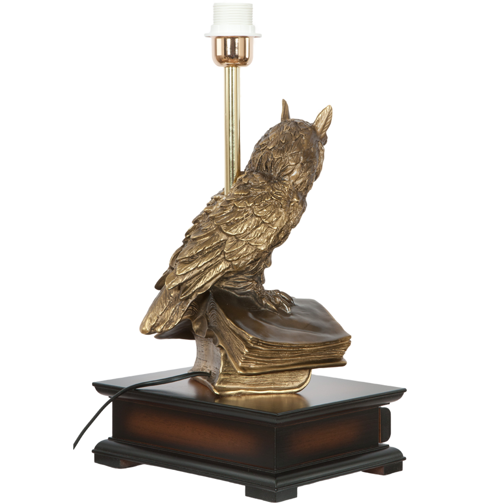 33006/1,34013 Настольная лампа с бюро Ученый Филин Карамель BOGACHO 4627138211540, 4627179657130 - Вид №4