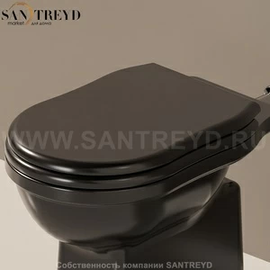 23O9017 Крышка сиденье для унитаза Ceramica Flaminia Efi