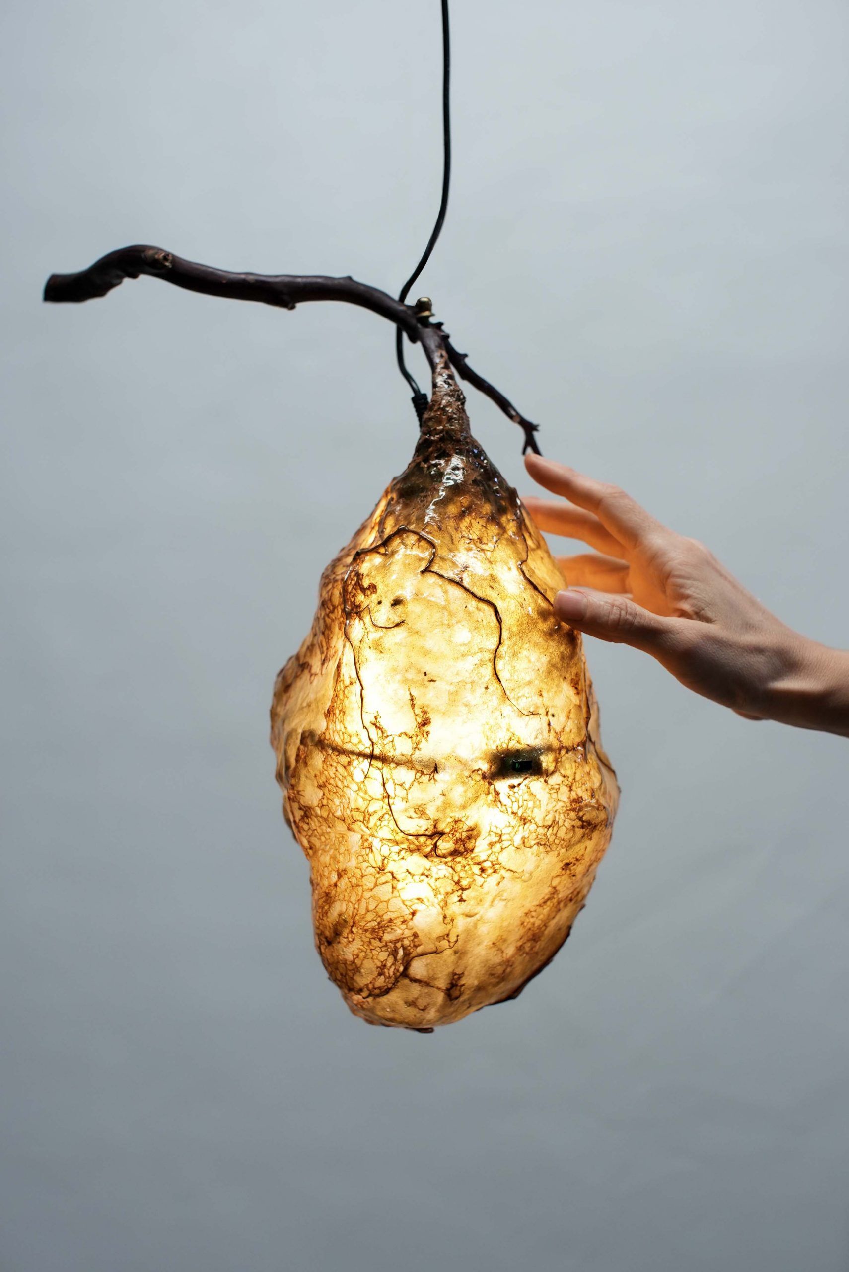 Яркая скульптура LO Contemporary THE HIVE II ARCH-00053958 - Вид №3