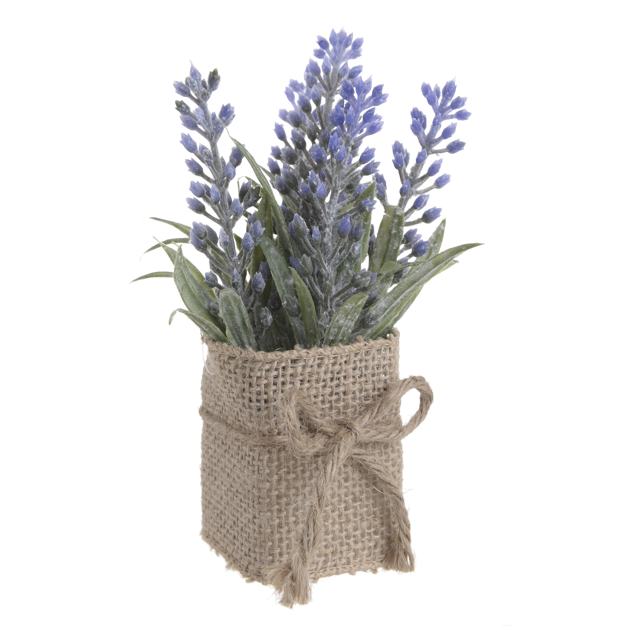 3885475.0186 искусственный цветок в кашпо TO4ROOMS  - Вид №1