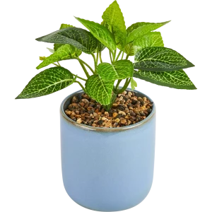 Искусственное растение Atmosphera 19 см