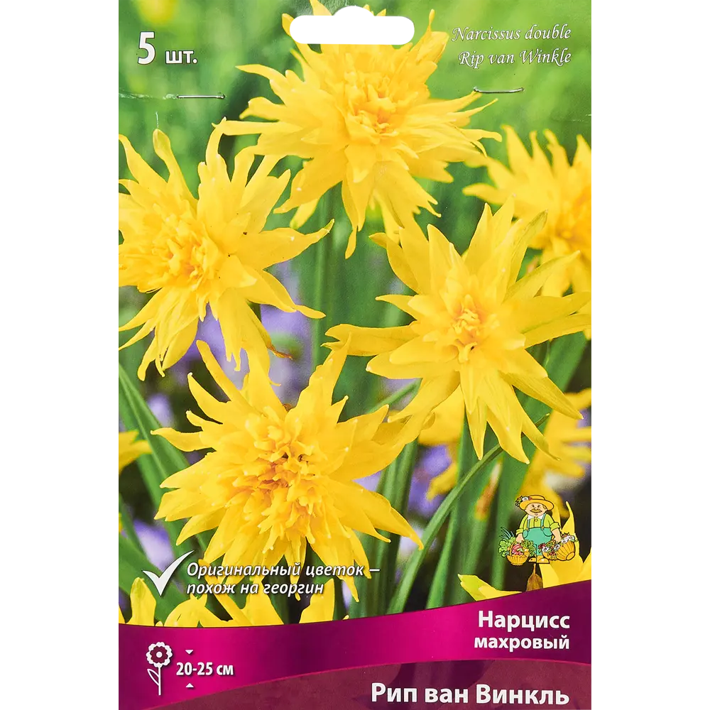 Нарцисс махровый Рип Ван Винкль от ПОИСК - 5 луковиц 85205511 STLM-1584952