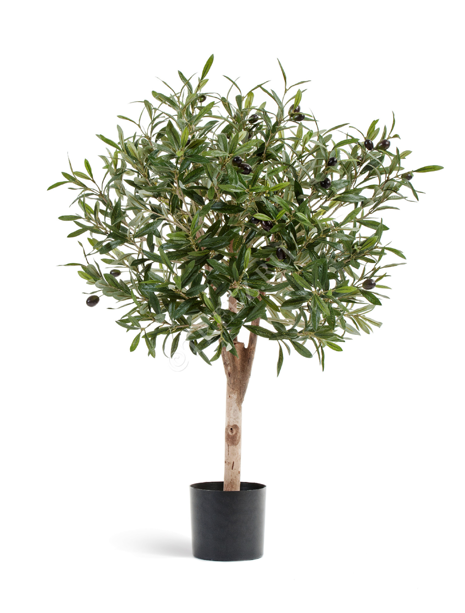 10.27502N Олива Джи Шар с плодами Цветочная коллекция 