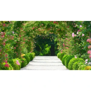 Фотообои флизелиновые Арка из роз 370x200 см