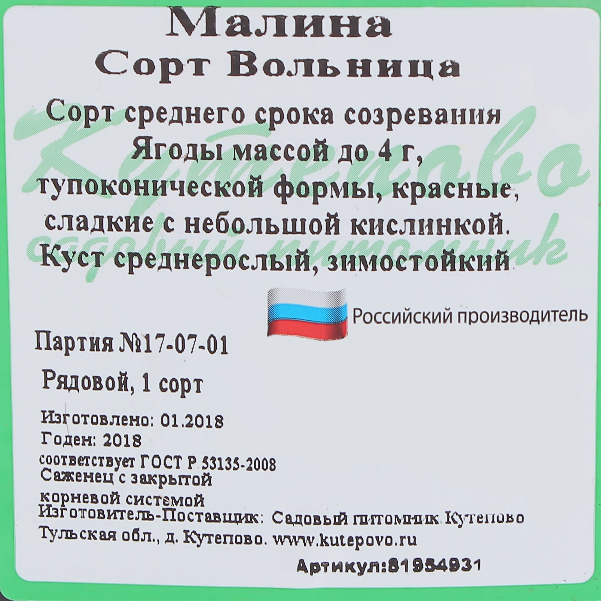 81954931 Малина С2 «Вольница» h40 Santreyd  - Вид №1