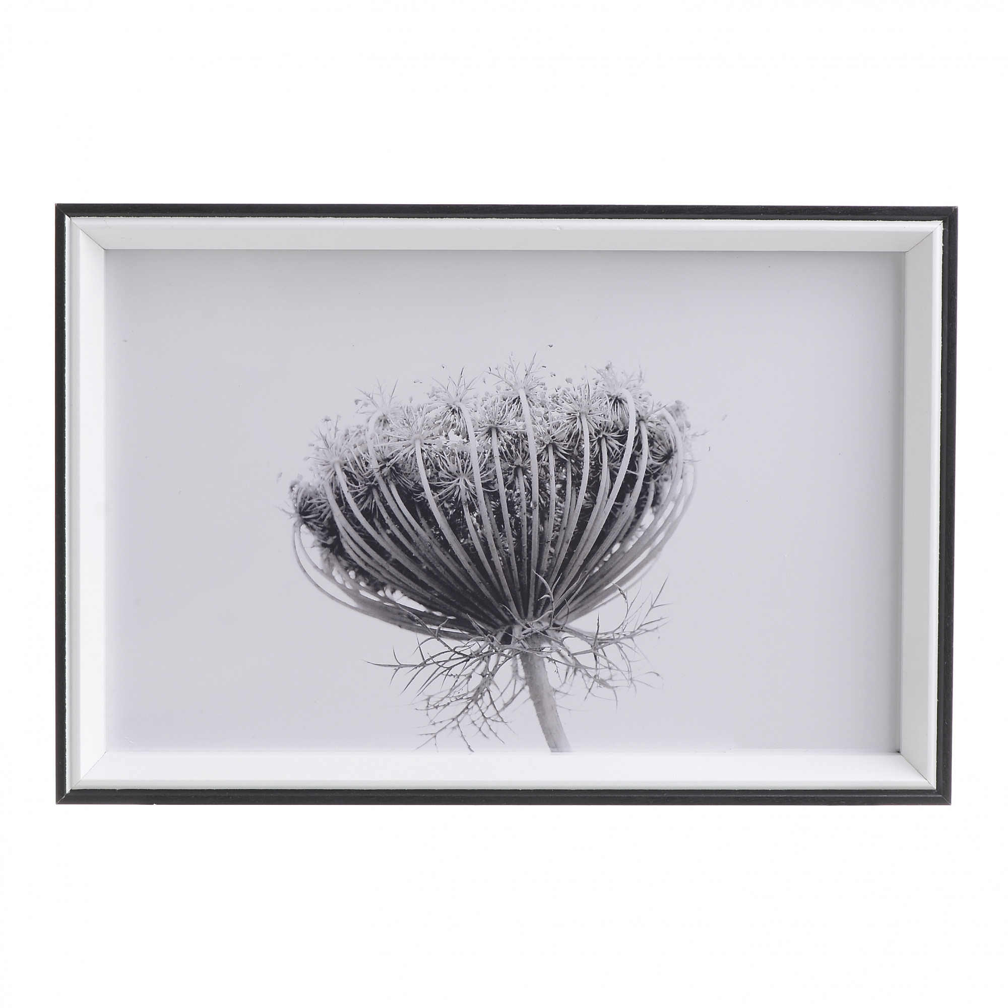 3890763.0001 Принт в раме TO4ROOMS 