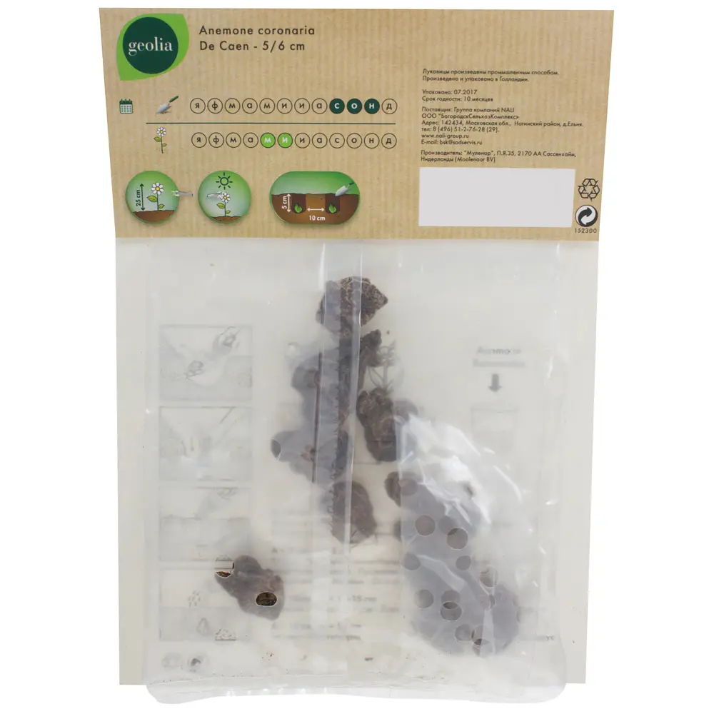 Анемона гибридная Mixed GEOLIA 5/6 10/75 STLM-2200487 - Вид №2