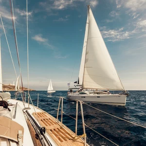 C1-375 Фотообои DIVINO Collection C 2.38х3 м