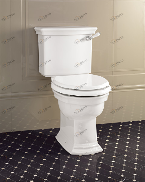 WCCMWES Компакт унитаз с бачком Белый Devon&Devon  Италия 