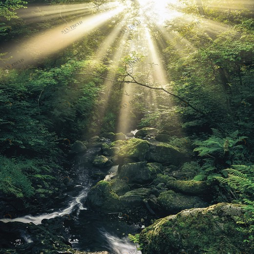 SH075-VD2-Divine Фотообои Komar Stefan Hefele 2.5х2 м SH075VD2DIVINE