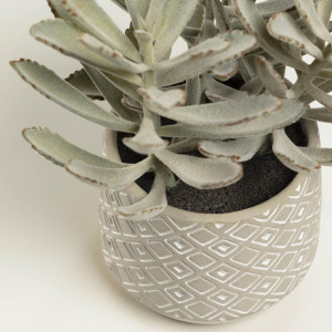 081758 Flower Искусственный суккулент в горшочке из цемента 24см La Forma Kalanchoe