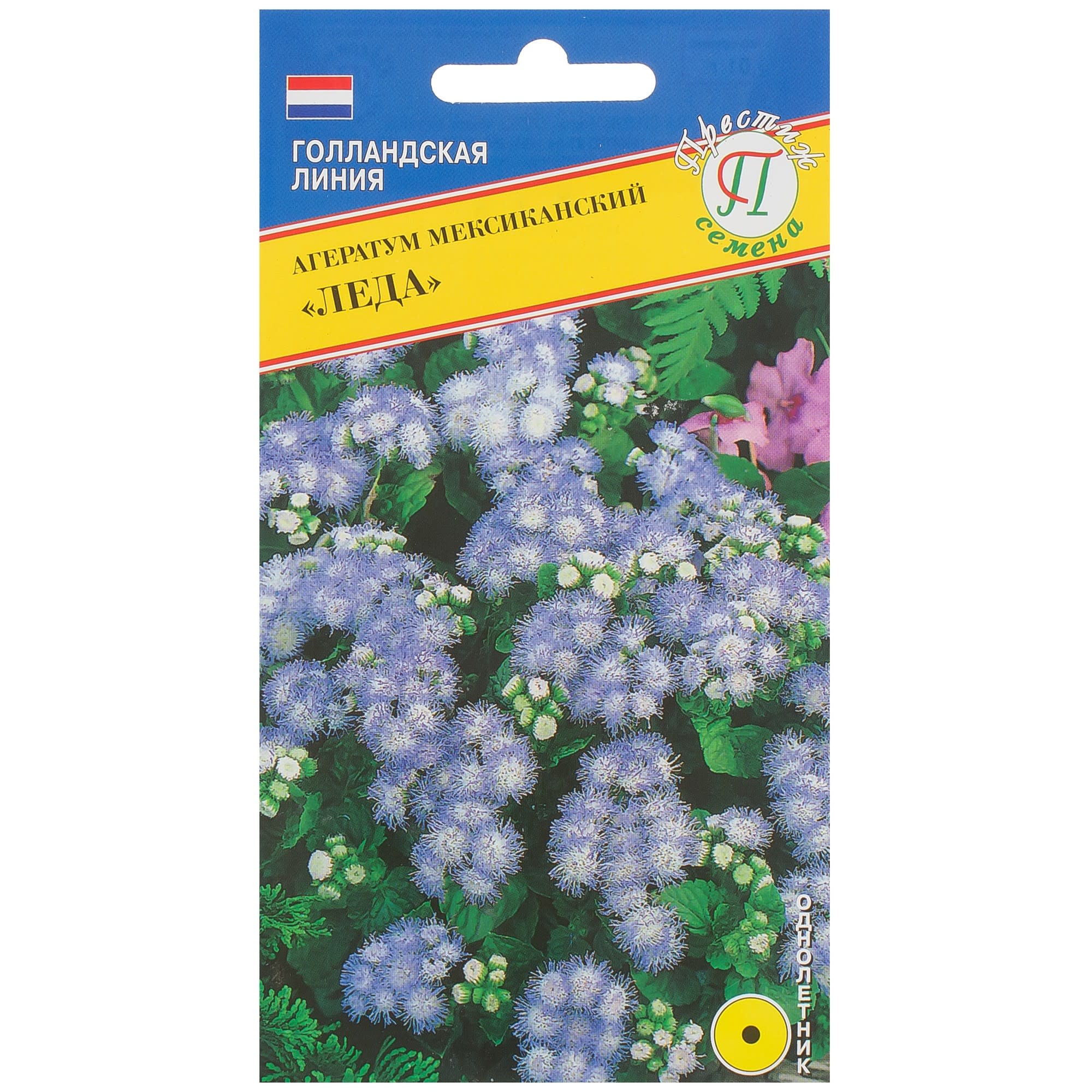 81931640 Агератум «Леда» Santreyd 