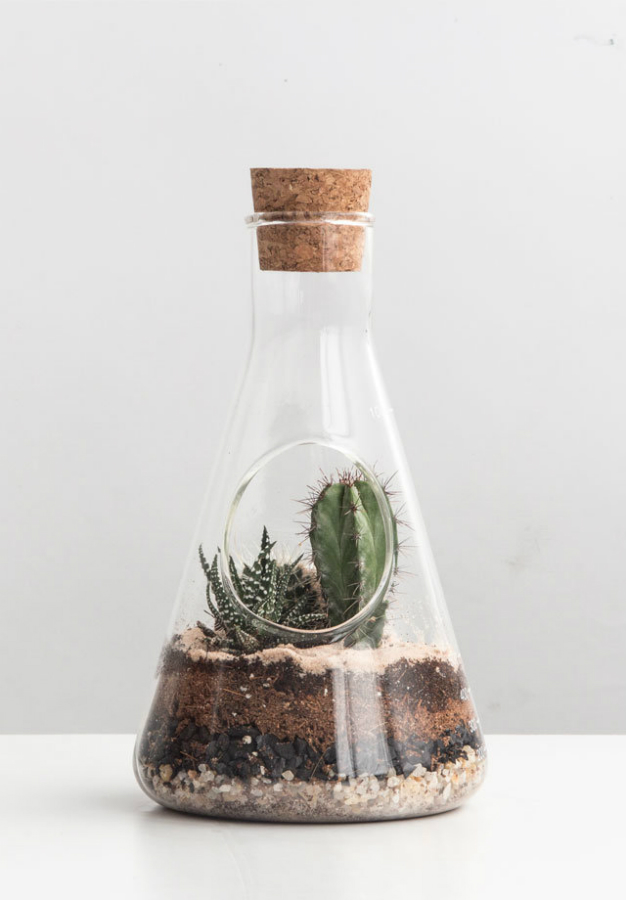 Террариум Chemistry SUCK UK SKTERRCHEM1 - Вид №1