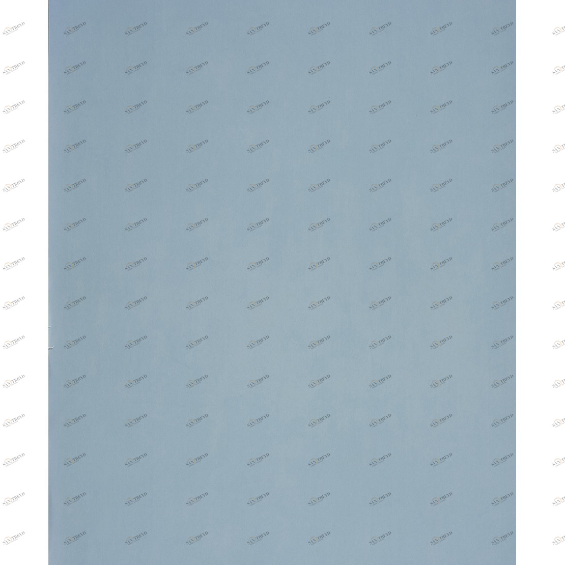 Рулон обоев ALICE & PAUL AEP18886438. Основа Casadeco