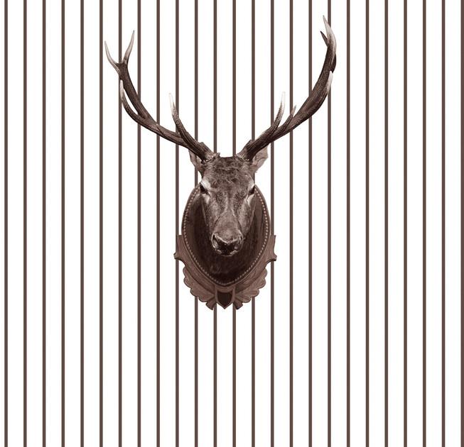 Wall&decò Полосатый Contemporary wallpaper 2010 sun-id-1470101 - Вид №1