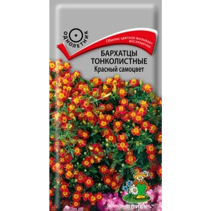 Семена цветов Поиск бархатцы тонколистные Красный самоцвет