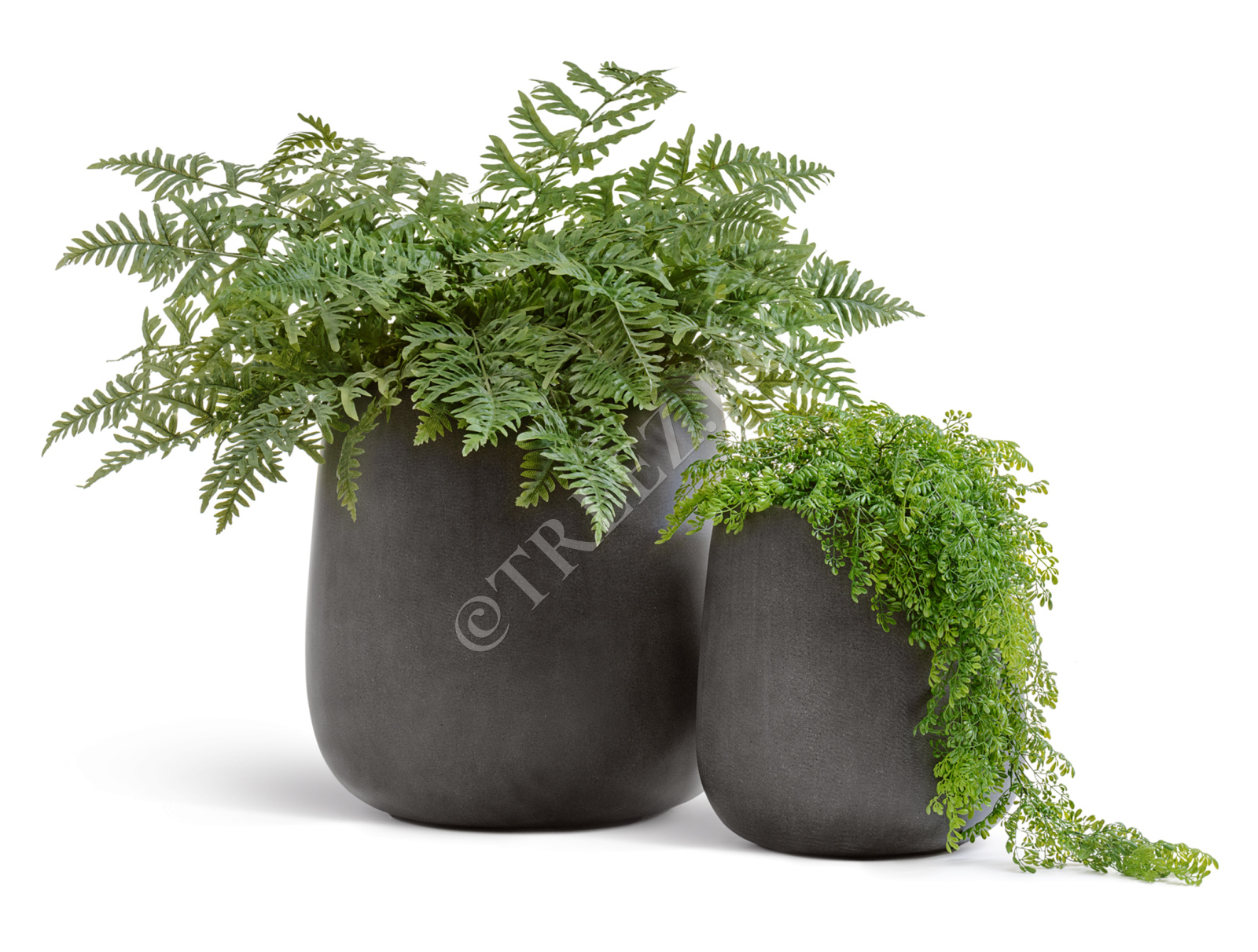 41.3321-02-072-GR-34 Кашпо  Effectory - серия Beton - Design-Чаша - Тёмно-серый бетон Цветочная коллекция  - Вид №3