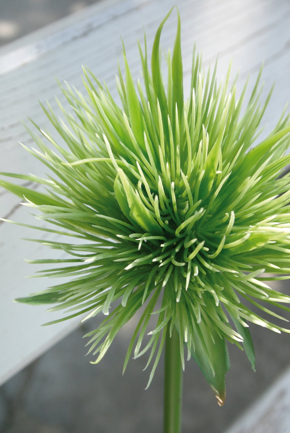 5851 883 a2 Искусственный ковыль китайский, 85 см, зеленый H-andreas  - Вид №4