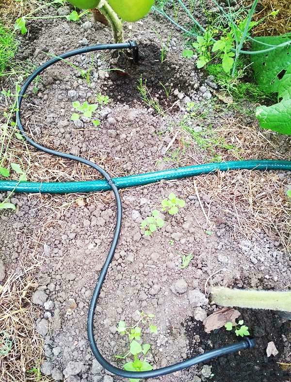 2898 Капельница стрела угловая с поводком по 50см на две стороны LAB.Space  - Вид №4