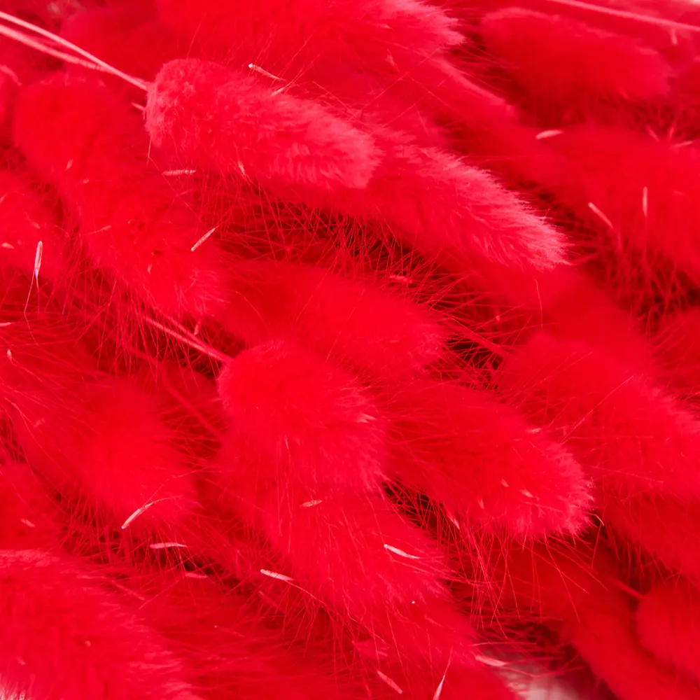 Букет из сухих цветов Лагурус микс 1 70 см Santreyd STLM-2132636 - Вид №5