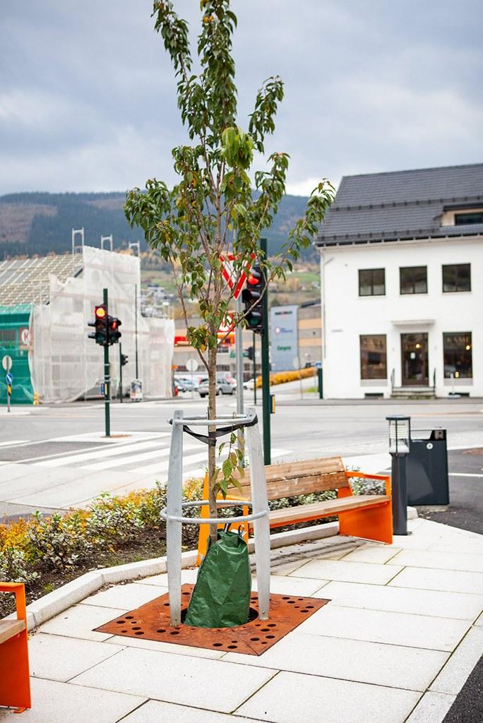 VESTRE Защитная решетка для деревьев из оцинкованной стали Urban sun-id-1473472 - Вид №2