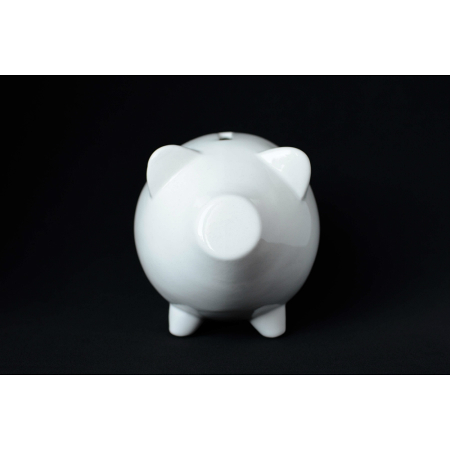 Сувенир «Свинка-копилка» ЭКОЧЕЛОВЕКИ PIG101 - Вид №5