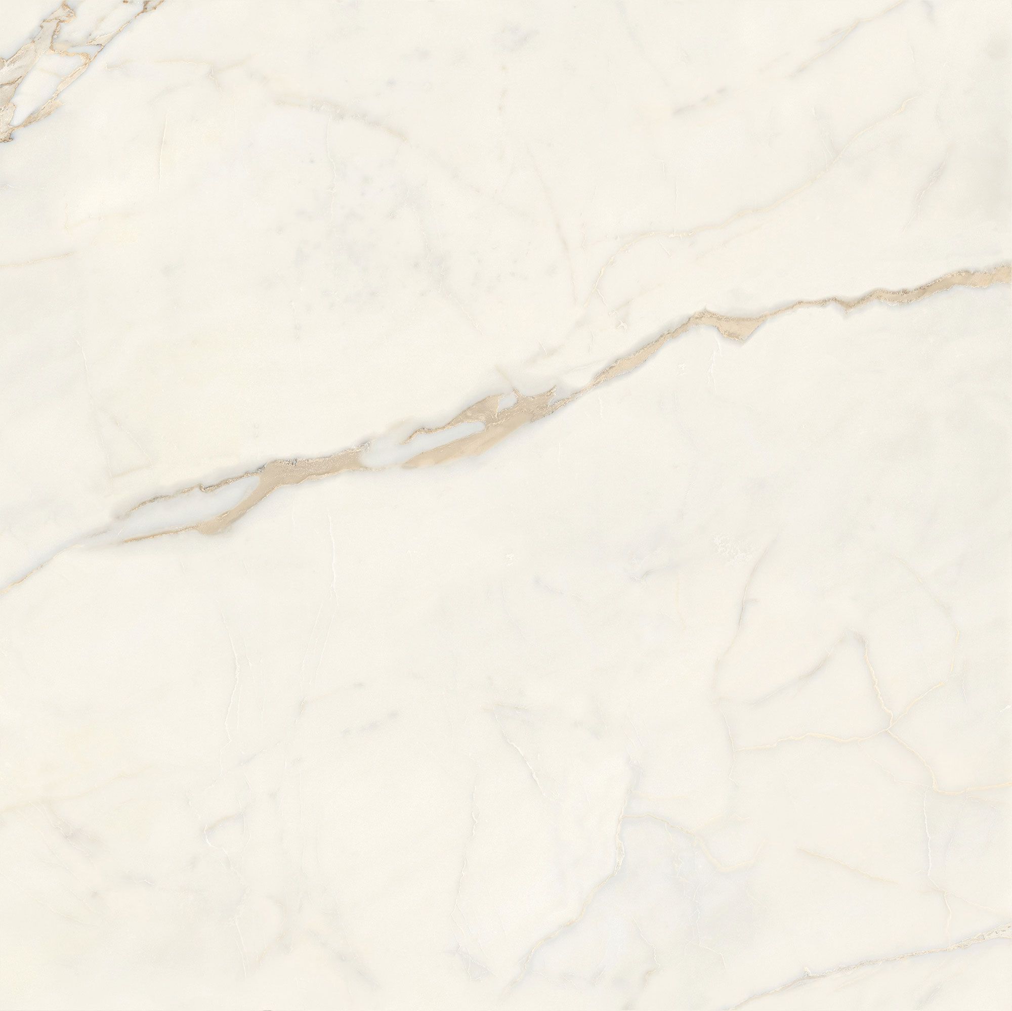 Пол / керамогранит с мраморным эффектом Italgraniti Marble Touch ARCH-00062183 - Вид №20