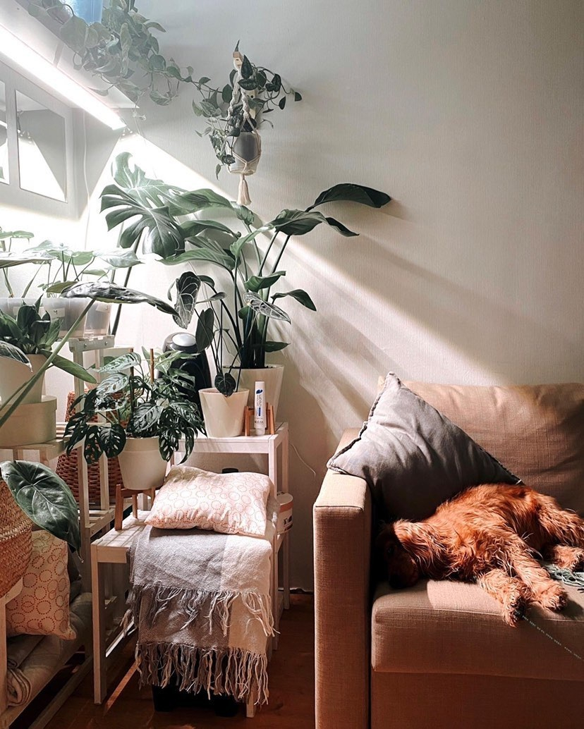 1119 Фитолампа для растений 50 Ватт. Длина 120 см LAB.Space  - Вид №7