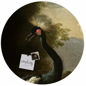 Groovy Magnets Клейкий мотив украшения Crackle St-60-cr-cr