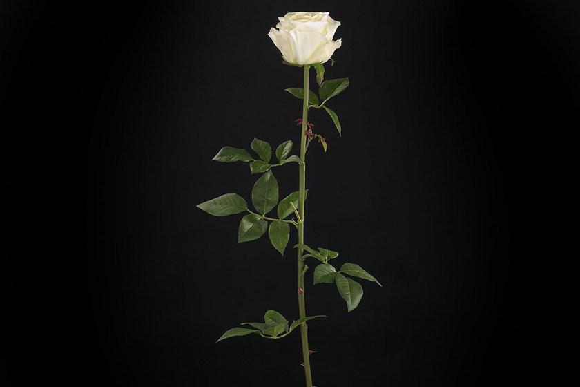 VGnewtrend Искусственное растение из полиэстера sun-id-1389321 - Вид №2