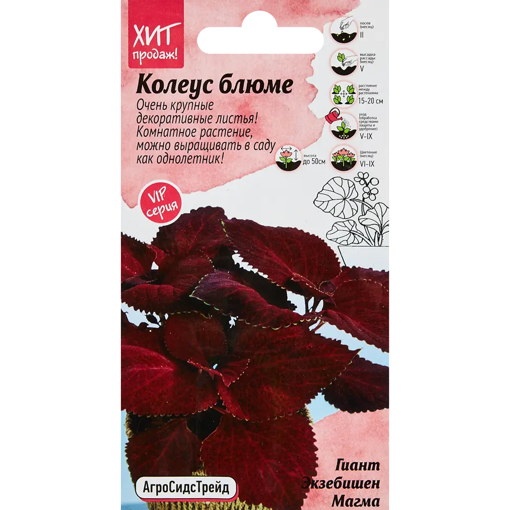 Семена цветов Агросидстрейд колеус Блюме Гиант Экзеб Магма STLM-2013822