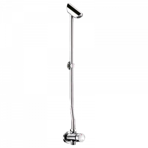 747801 Душевой комплект TEMPOSOFT 2 DELABIE