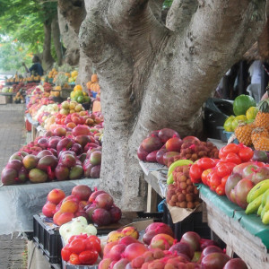 1301/CX38 Картина 1301 Adriani e Rossi