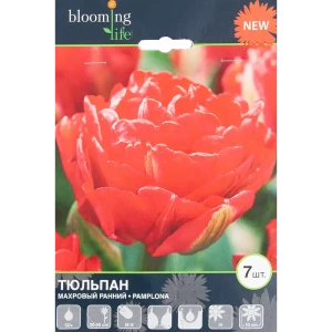 Тюльпан «Памплона» размер луковицы 12, 7 шт. 82665845 STLM-2145510