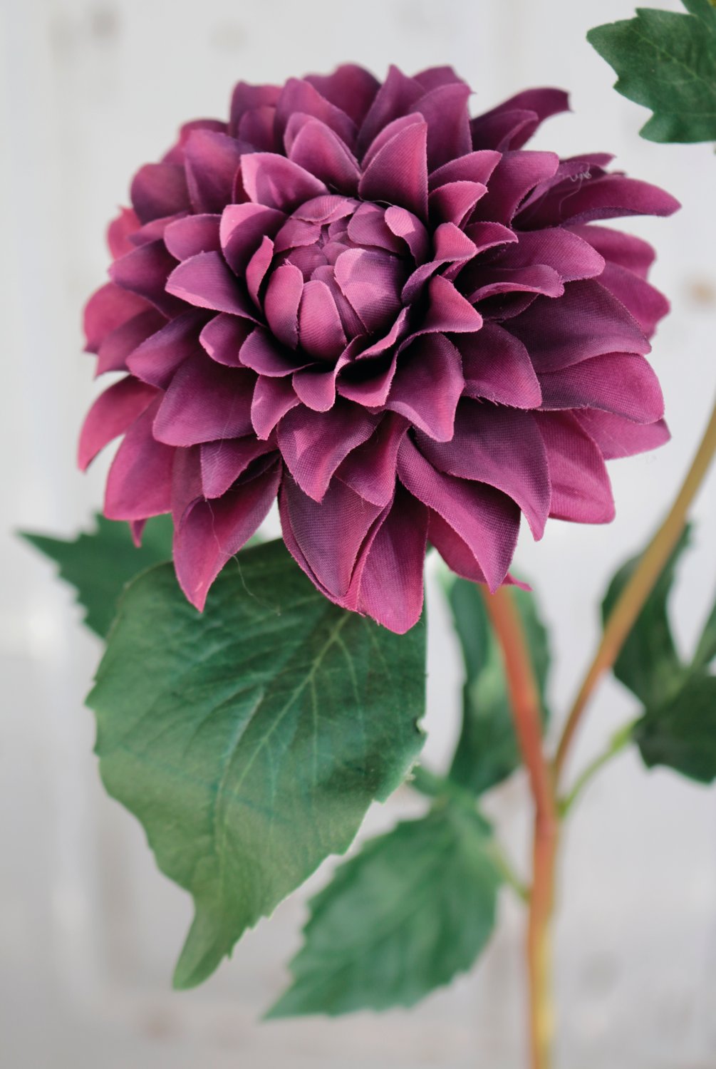 2451 490 a3 Шелковый георгин, 56 см, красно-черный H-andreas  - Вид №3