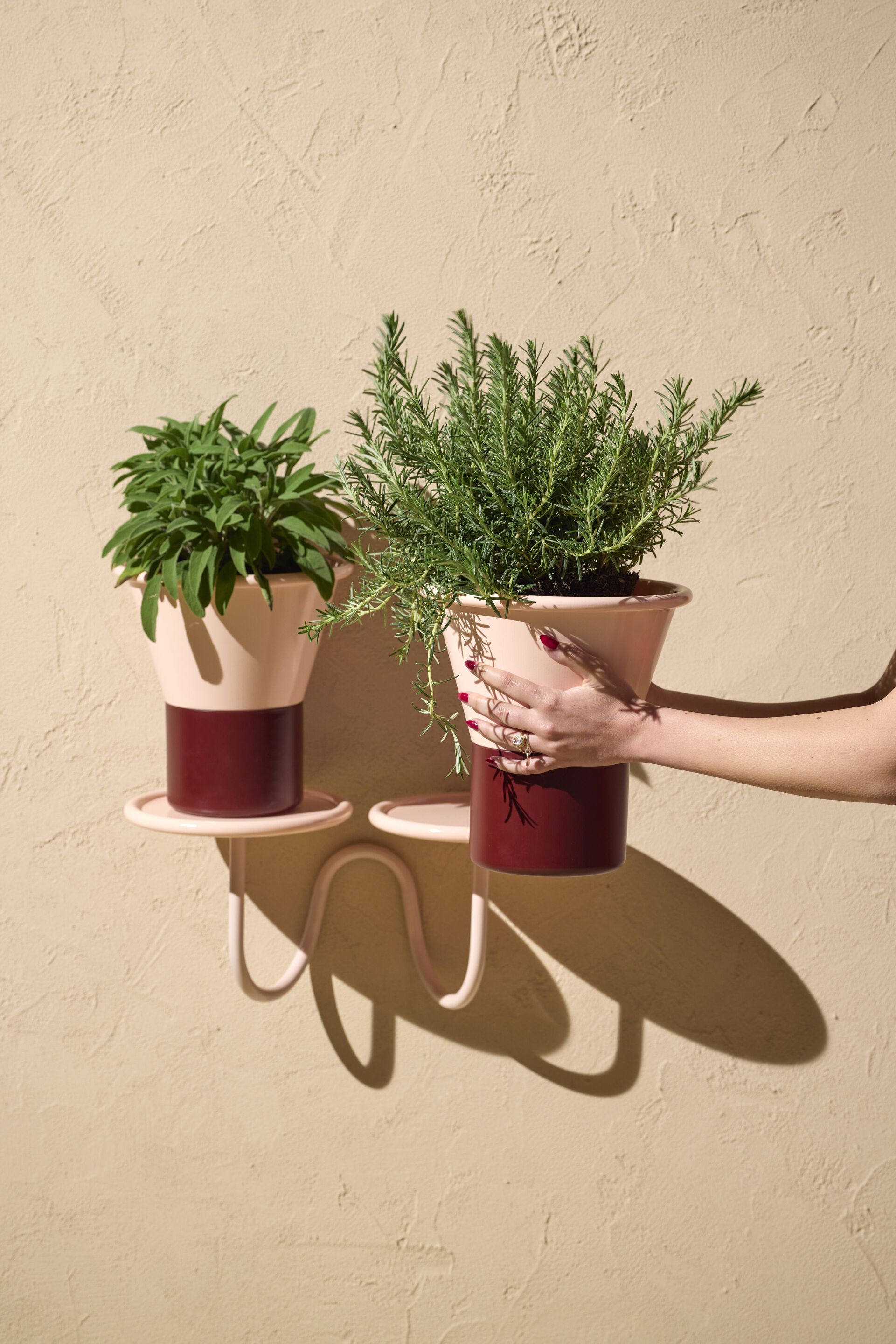 Стальной подвесной держатель для горшка S-CAB Mimosa ARCH-00027064 - Вид №3