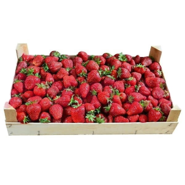 Клубника крымская в ящике ~5 кг Santreyd 19489