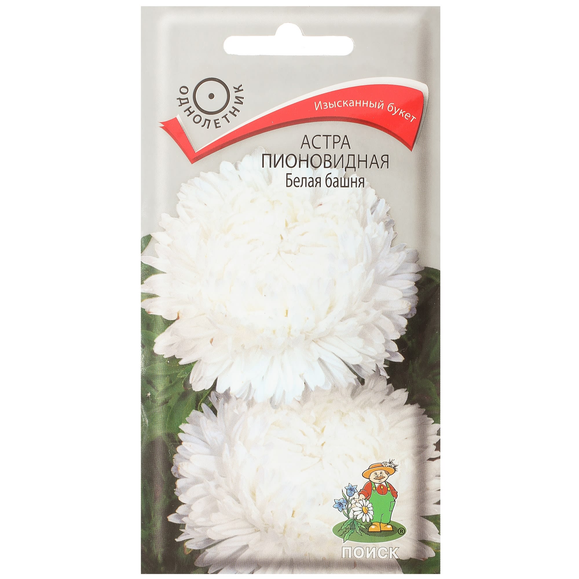 17229485 Астра пионовидная «Белая башня» Santreyd 