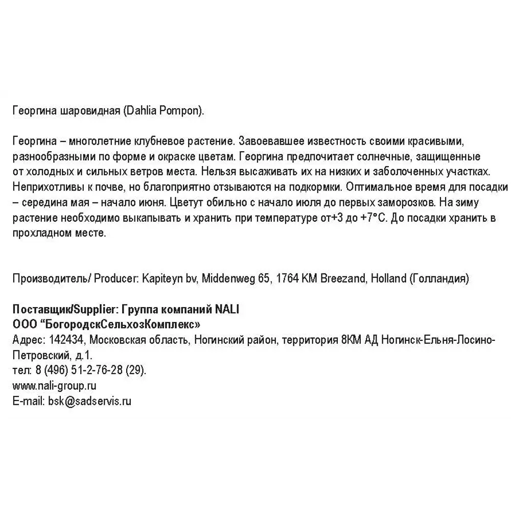 Георгина шаровидная пинк болл 1 шт 82549922 STLM-2194099 Santreyd  - Вид №1