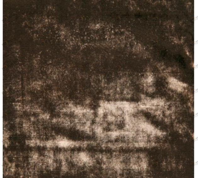 Aldeco Однотонная обивочная ткань Ghute T015680004