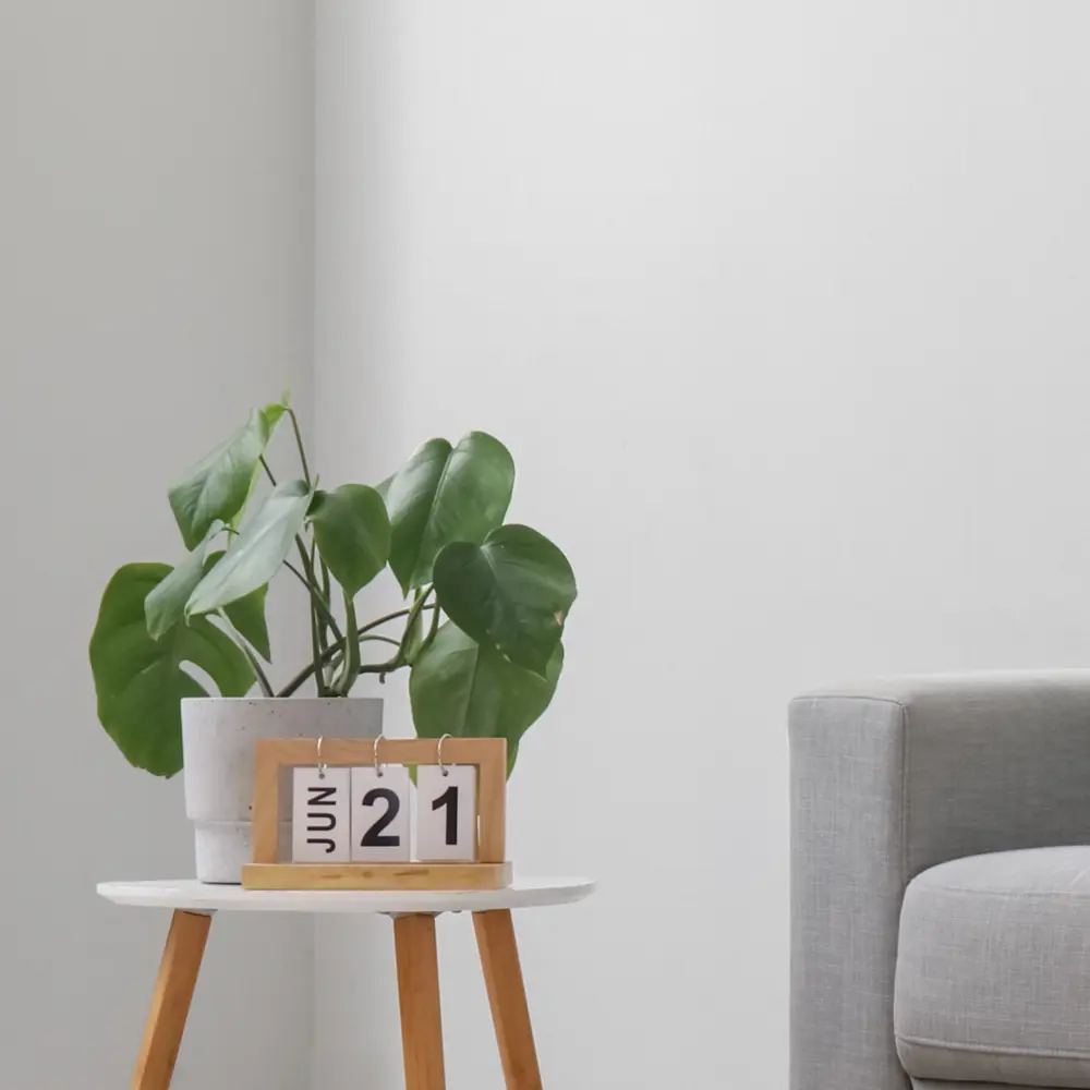 Обои флизелиновые Palitra Planet белые 1.06x25 м PP40446-01 STLM-2210005 - Вид №4