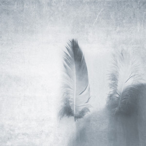 WP02020A Обои декоративные Adriani e Rossi