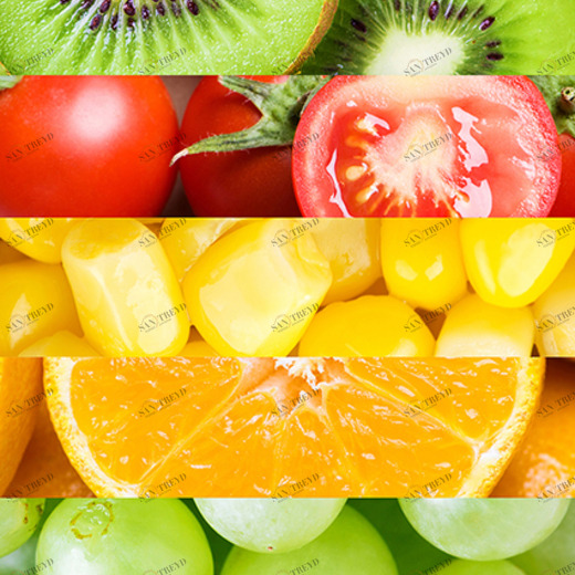 B1-040 Фотообои DIVINO Collection B 2.7х1 м B1040