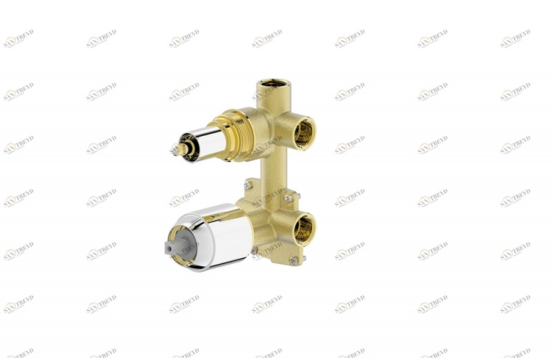 Внутреннее тело (2-функц) Rhein D982CP-B-ENG bravat 