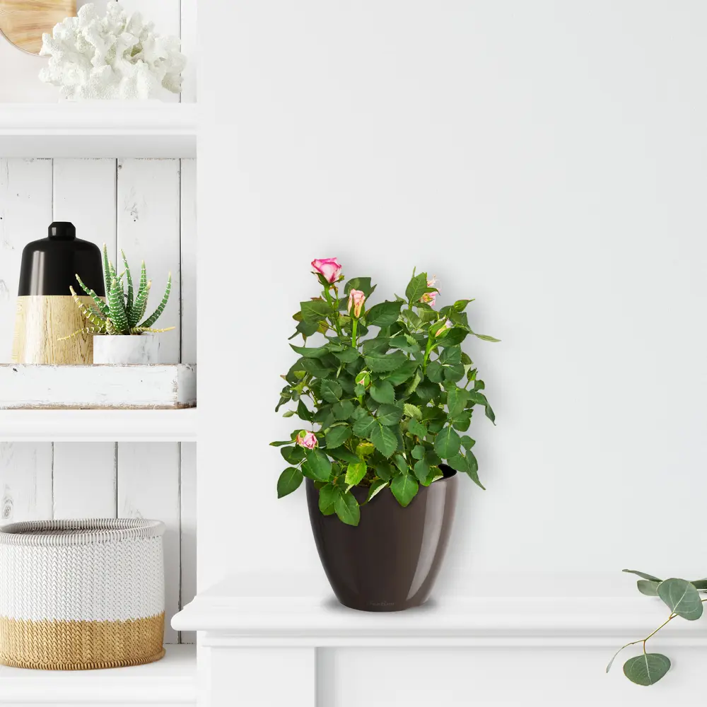 Santreyd Деко Твин — цветочный горшок с системой защиты от перелива 83406596 STLM-0041018 - Вид №2