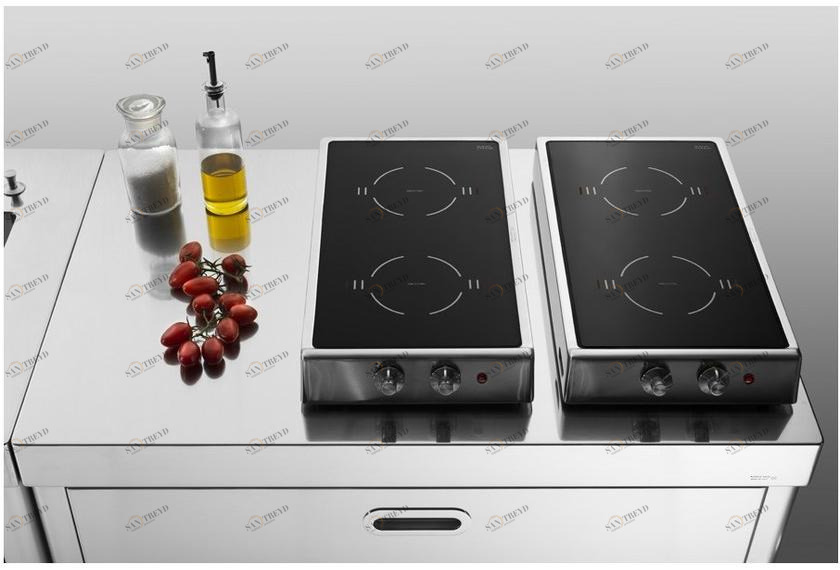 ALPES-INOX Складная индукционная плита из нержавеющей стали Strumenti d’oggi sun-id-1361729